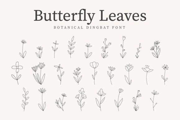 Butterfly Leaves Font for Web Design