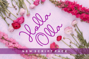 Holla Olla: A Soft Script for Creative Projects