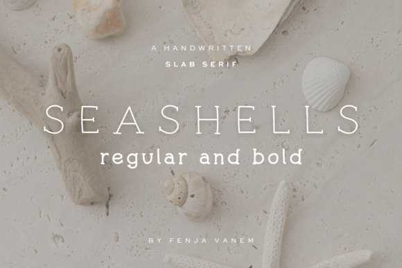 Seashells Font: A Coastal Typographic Escape